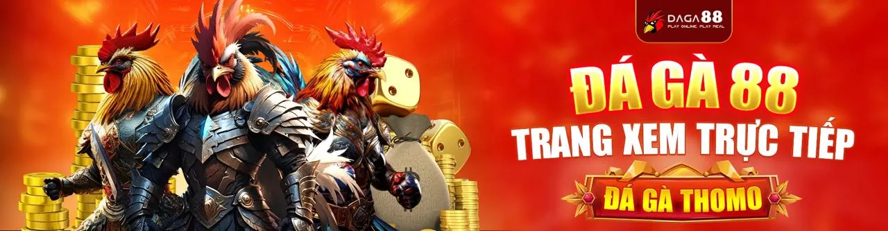 Đấu trường đá gà trực tuyến gg88 sôi động